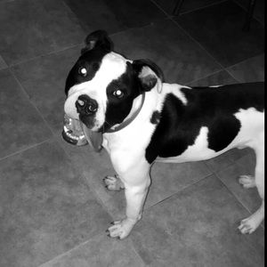 Meet your Posher, Jasmine